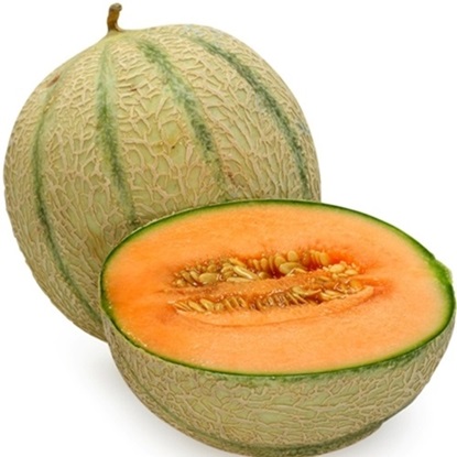 Picture of Cantaloupe