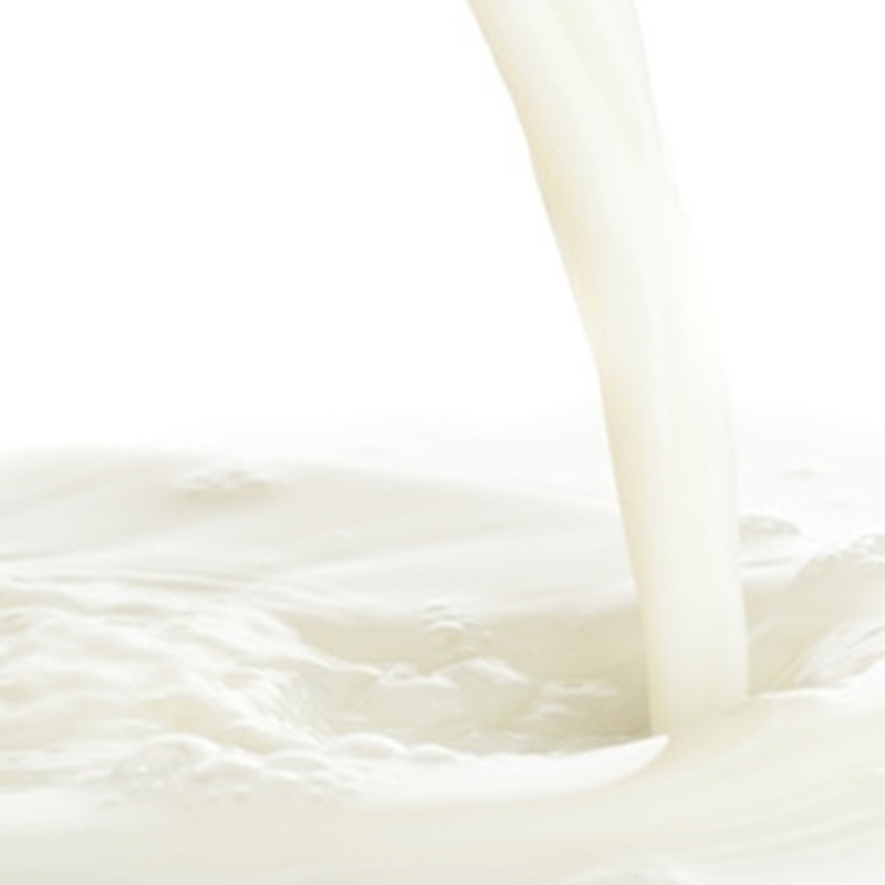 Picture of Malted Milk (Conc)