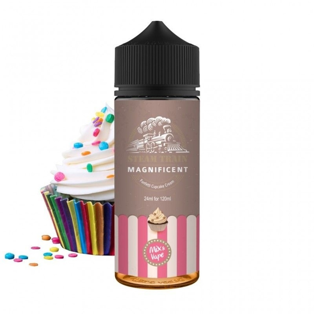 Picture of Steam Train Magnificent 24ml/120ml