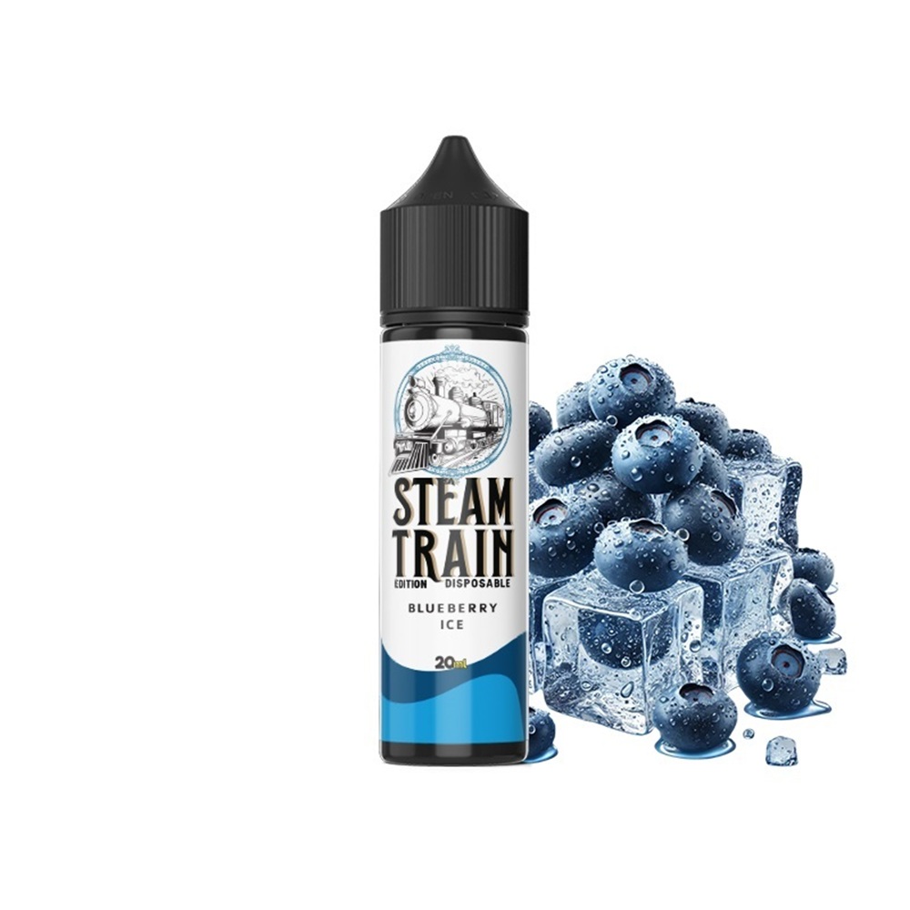 Picture of Steam Train Disposable Edition Blueberry Ice 20ml/60ml