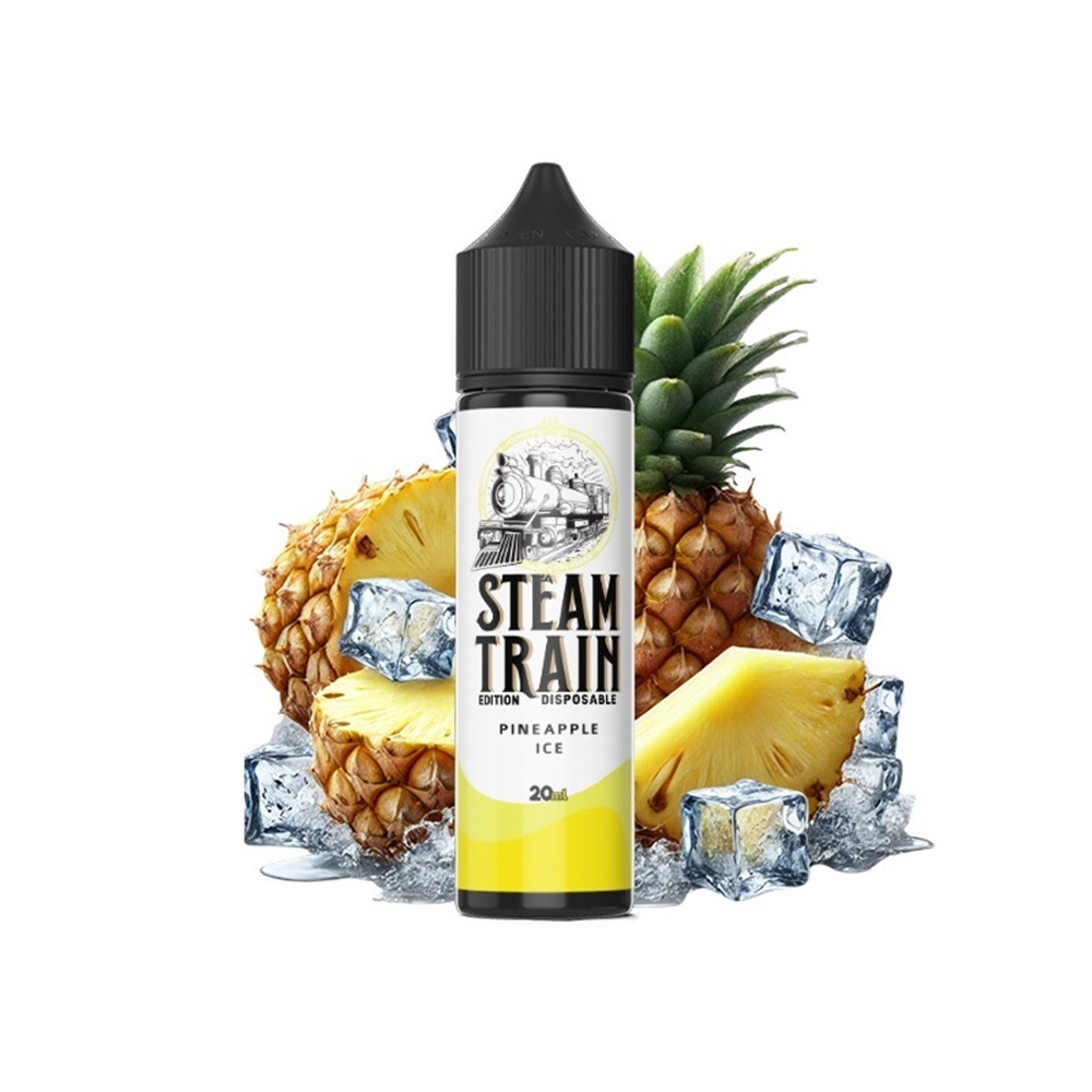 Picture of Steam Train Disposable Edition Pineapple Ice 20ml/60ml